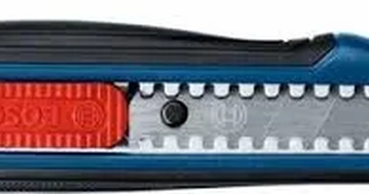 Bosch Professional Cutter and Blade Set 1600A027M4 Review - AI Analysis ...